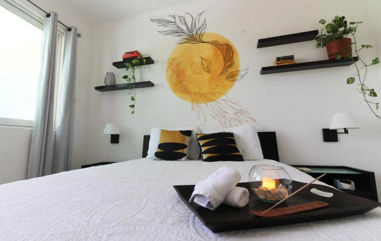 Penthouse With Private Jacuzzi Apartment Playa del Carmen